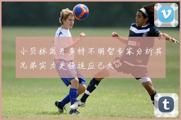 小贝林离开多特不明智专家分析其兄弟实力更强适应已久