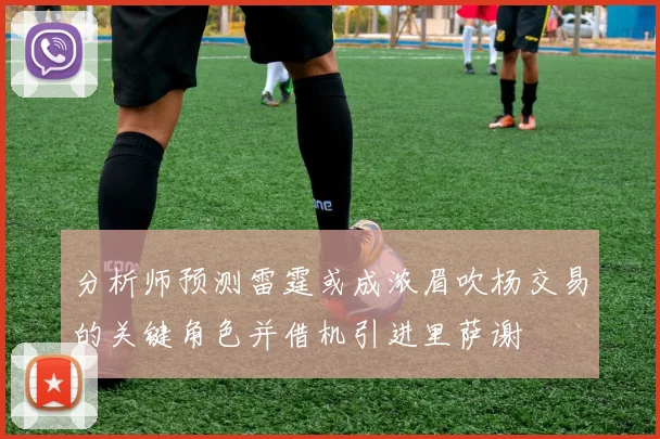 分析师预测雷霆或成浓眉吹杨交易的关键角色并借机引进里萨谢