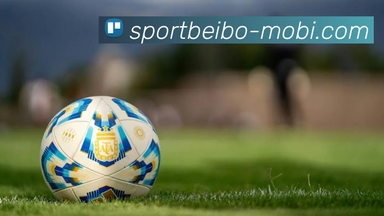 贝博体育APP 封面图